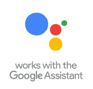 google Home